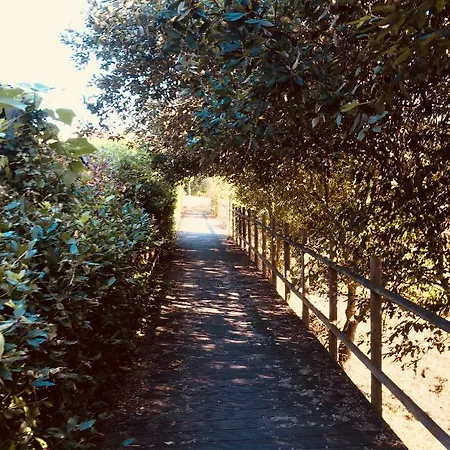 Casa de Férias Casadaeiradeangeja