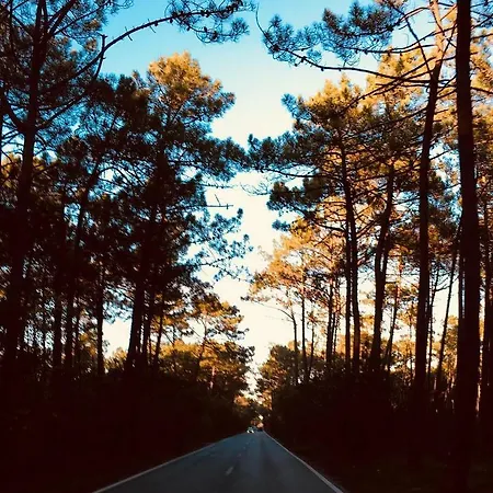 Casadaeiradeangeja Vakantiehuis *