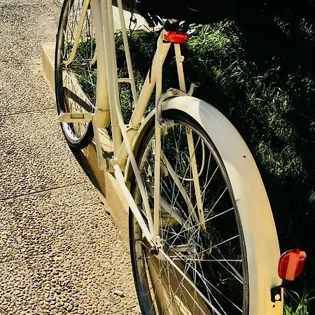 Casadaeiradeangeja *