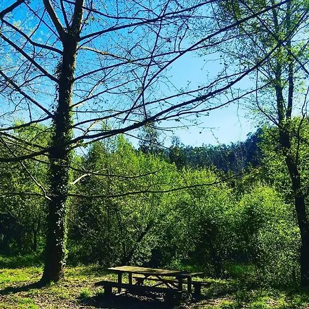 Casadaeiradeangeja Angeja